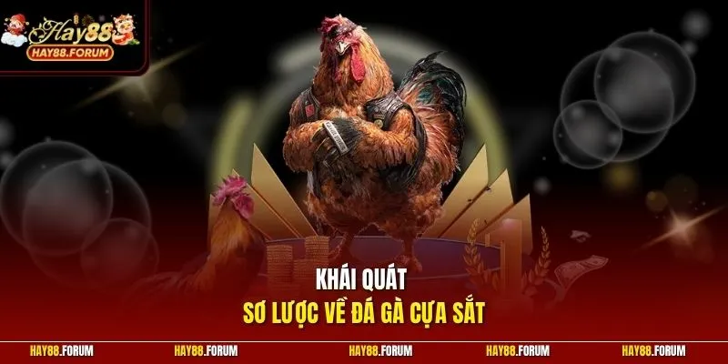 Khái quát sơ lược về đá gà cựa sắt