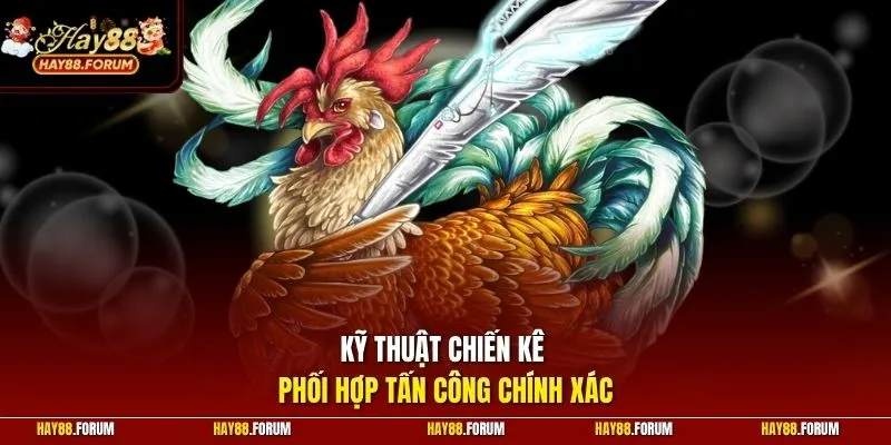 Kỹ thuật chiến kê phối hợp tấn công chính xác